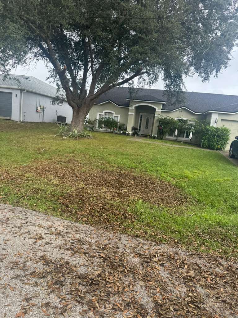Truck loaded with junk